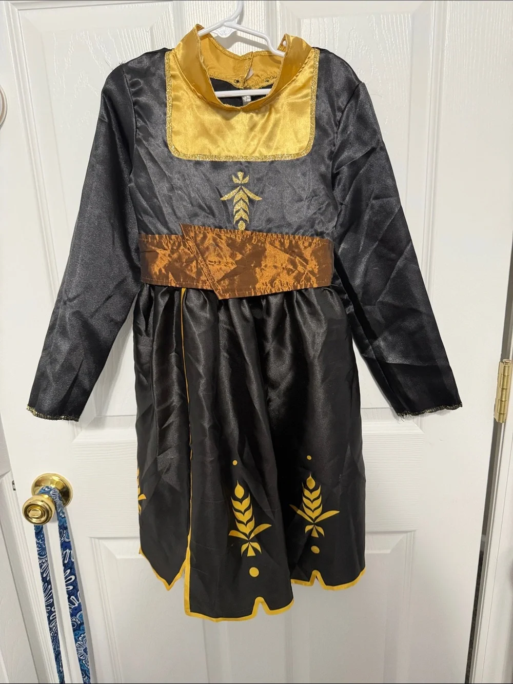 Disney children’s play wardrobe or costumes. There are nine dresses
